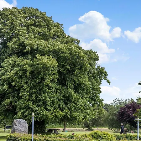 דירה Beautiful In